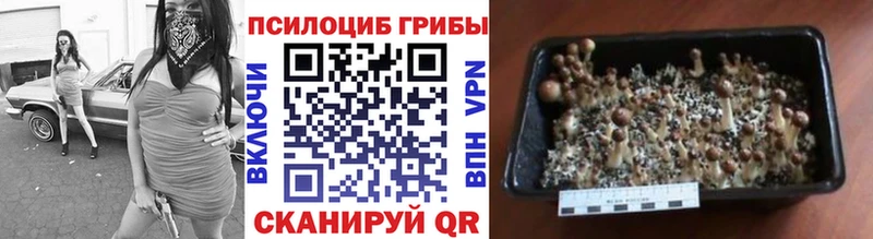 Галлюциногенные грибы мухоморы  blacksprut онион  Данилов  купить наркотики цена 
